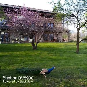 Bioagriturismo Vegan Campo Di Cielo Alloggio per agriturismo